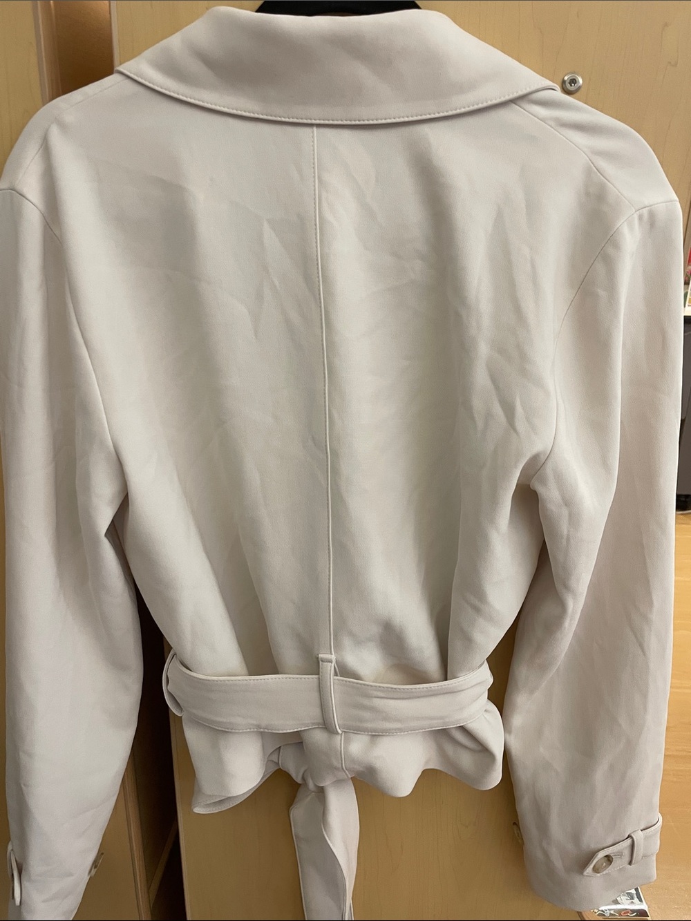 ARITZIA Postage Trench Coat - Picture 15 of 16